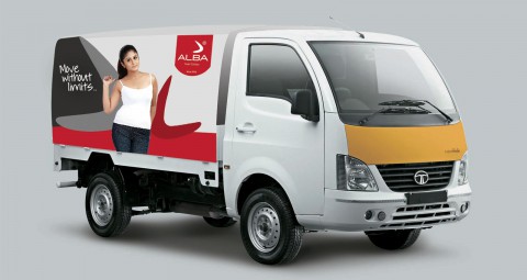 Zillion Info Solution graphics Alba Ace Design