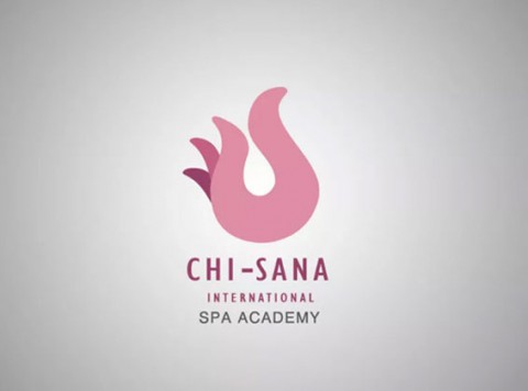 Zillion Info Solution Logo chi sana international spa academy
