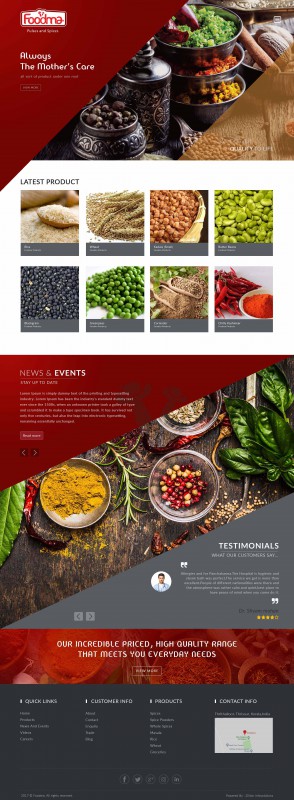 Zillion Info Solution Dynamic websites Foodma