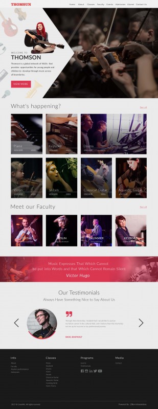 Zillion Info Solution static websites Thomsun